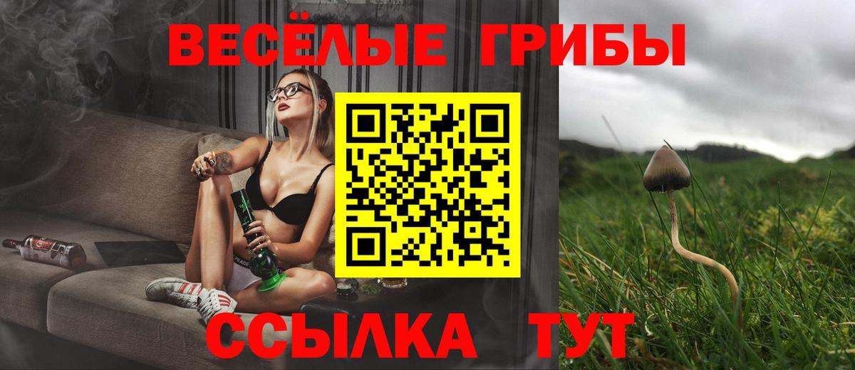 Псилоцибиновые грибы мицелий Сухой Лог